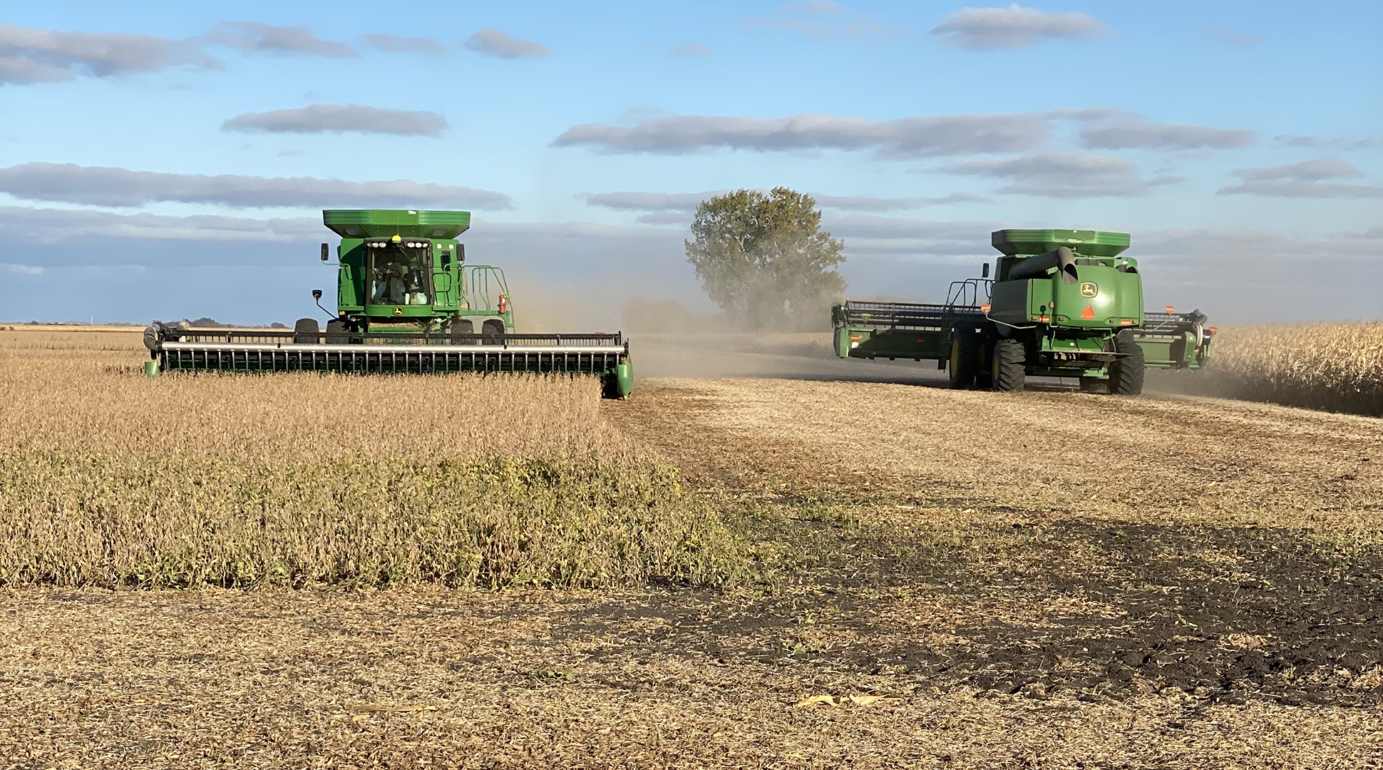 Sunshine to harvest: The heart of August