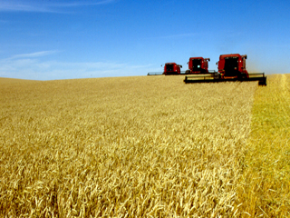 Agricultural productivity is critical