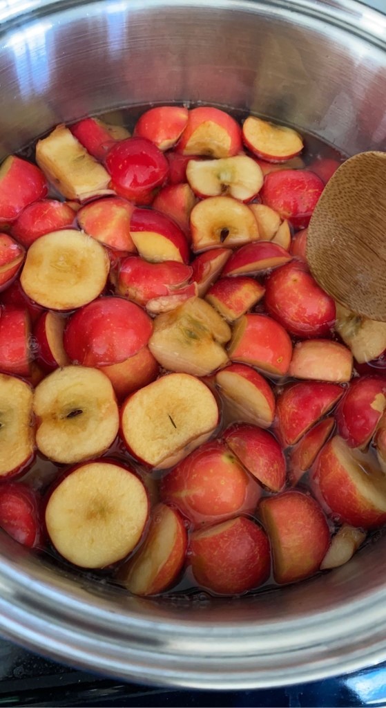 crabapples in the pot