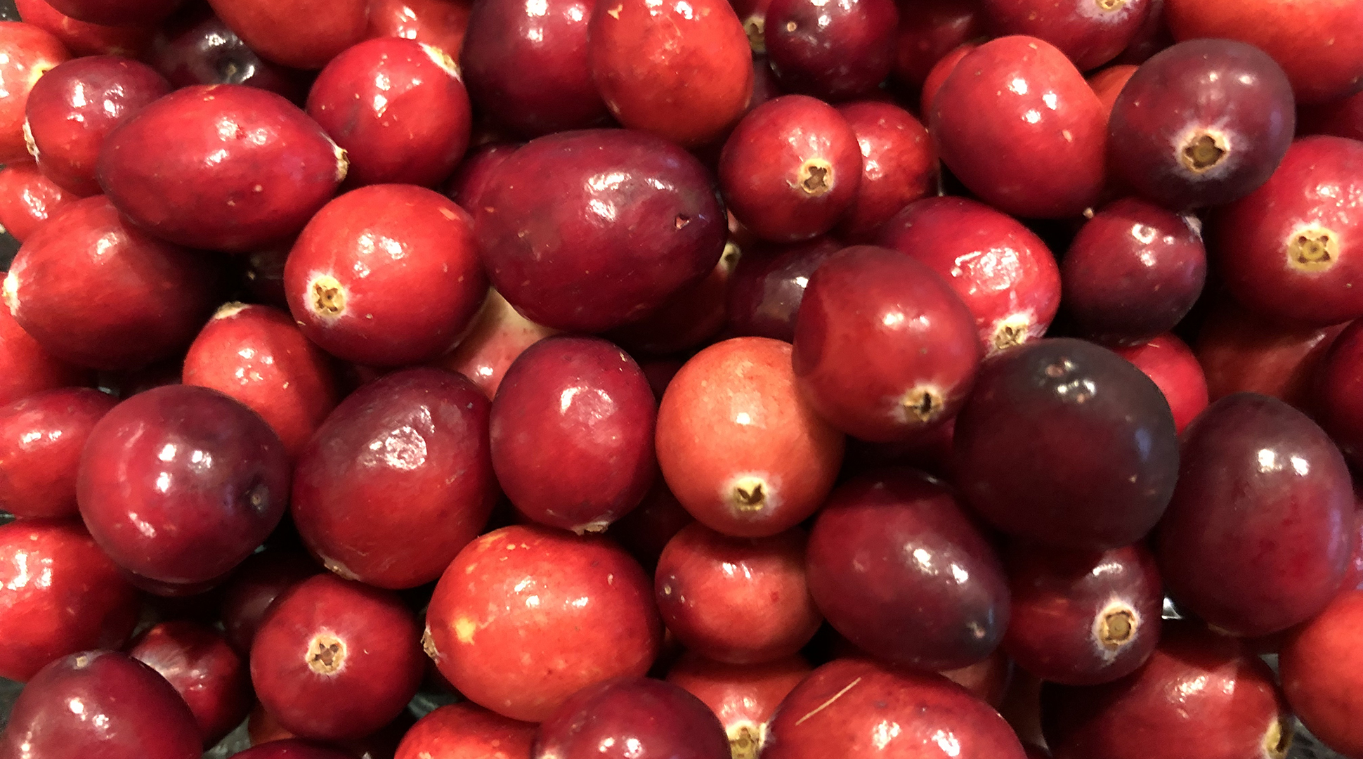 Pantry Shelf: Kicking it with cranberries, just in time for Thanksgiving