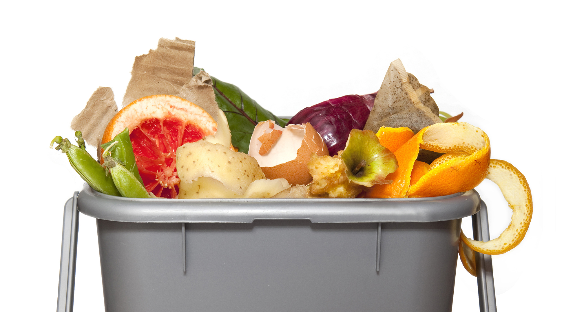 Curbing food waste