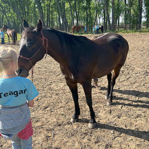 4-H horse camp 