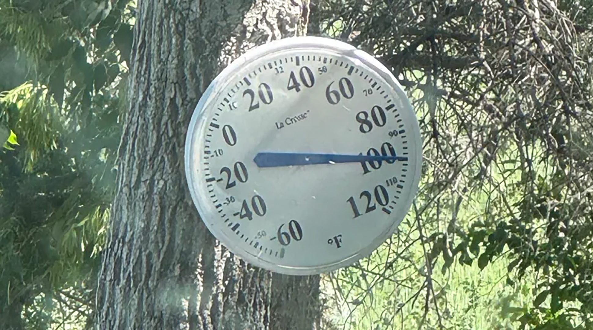 100 degrees on the thermometer