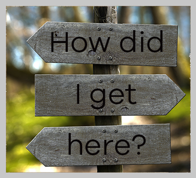 Stories about career paths