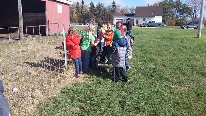 Kids really love visiting the farm.