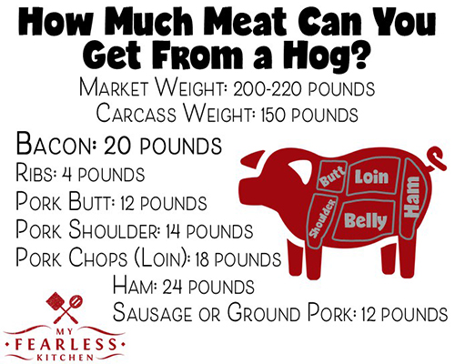 how much meat can you get from a hog