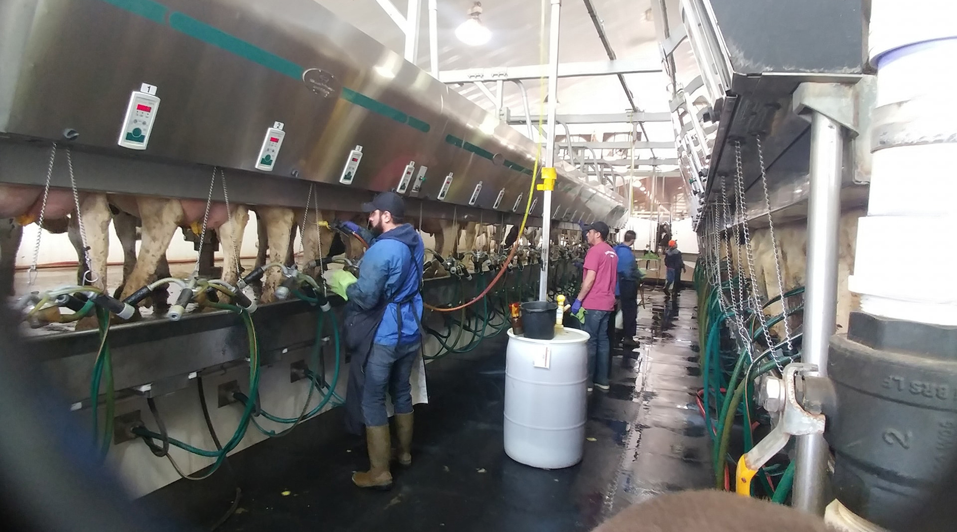 On this last day of Dairy Month