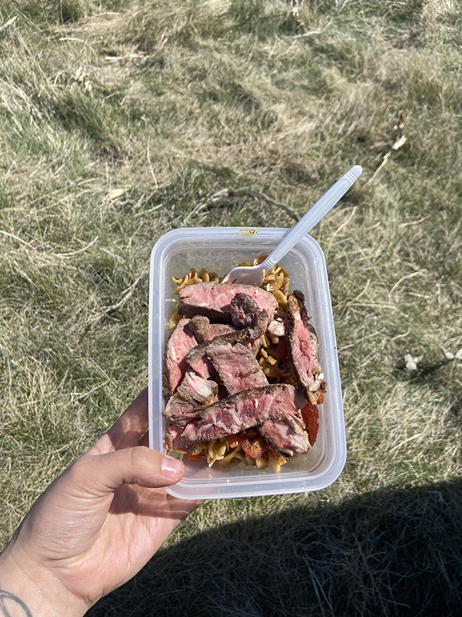 pasta salad with steak
