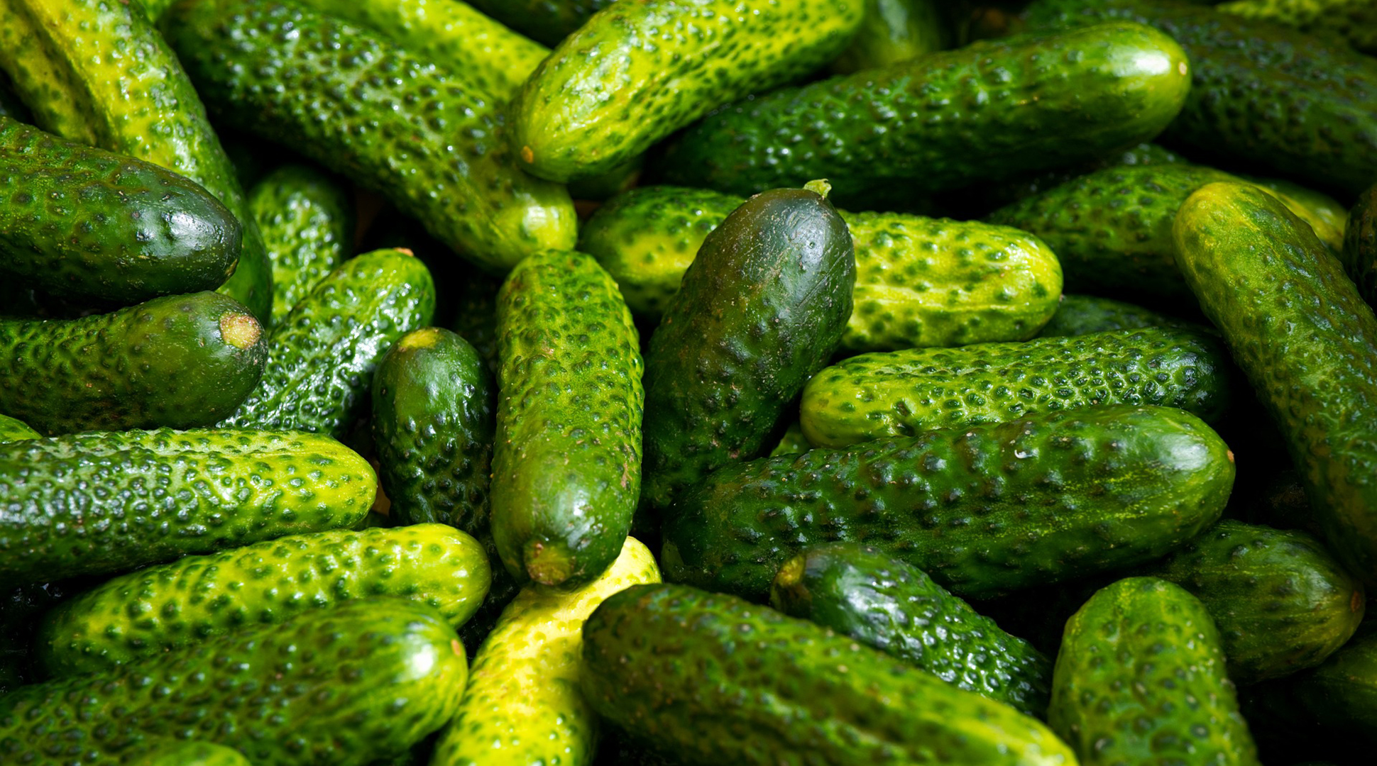 In a pickle, or in a jam?