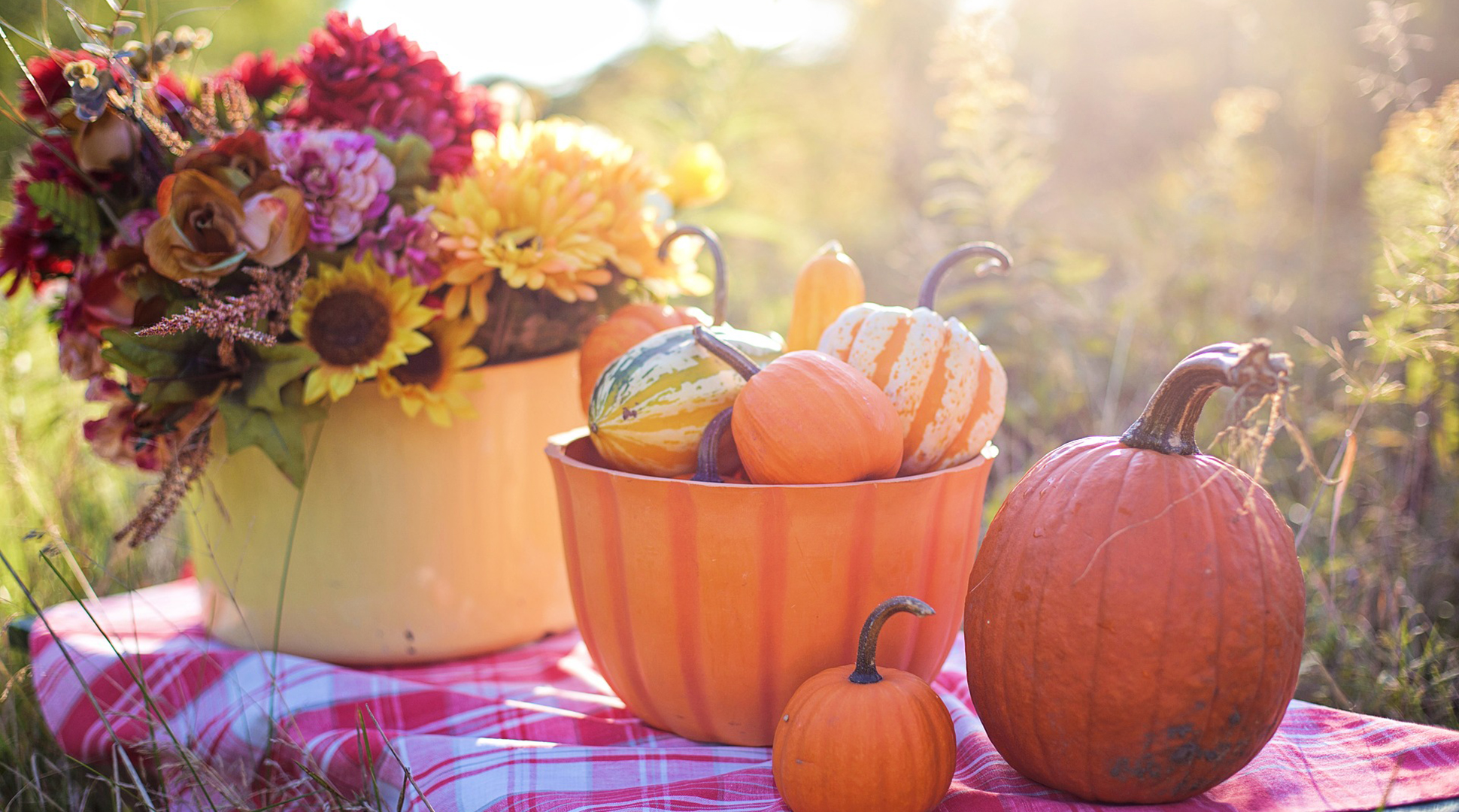 Pumpkin bars