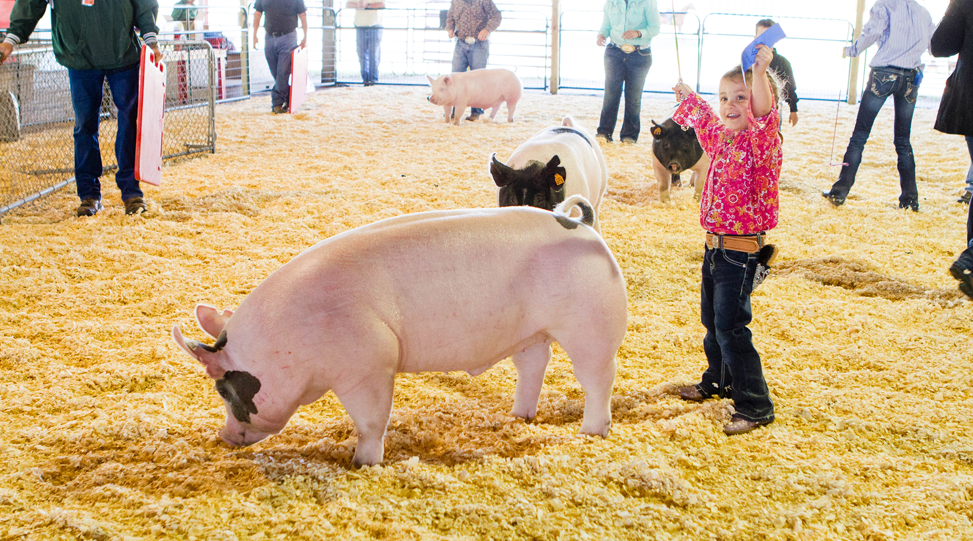 Saying goodbye after the fair