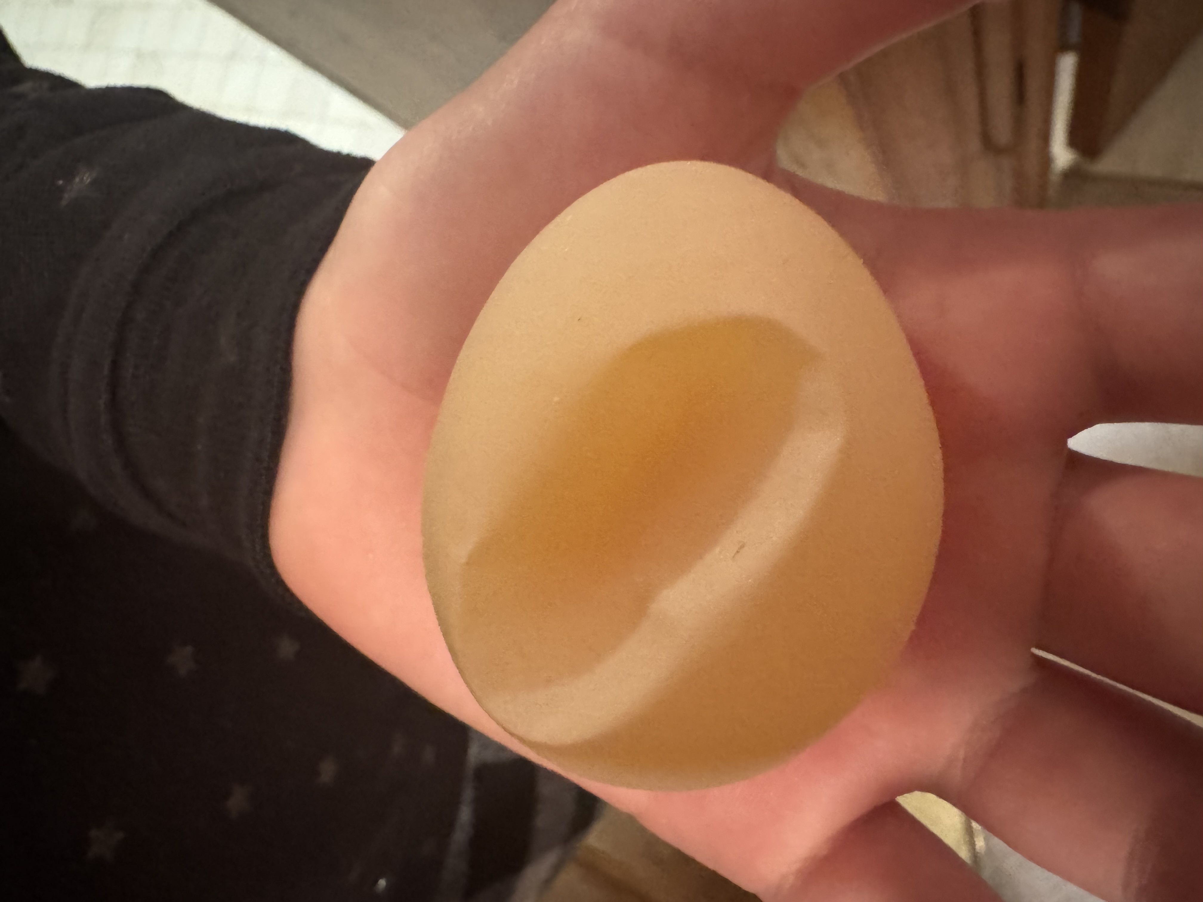 egg with no shell