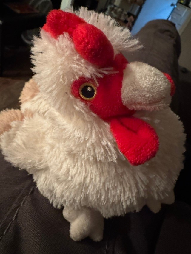 stuffed chicken will soon be replaced with the real thing