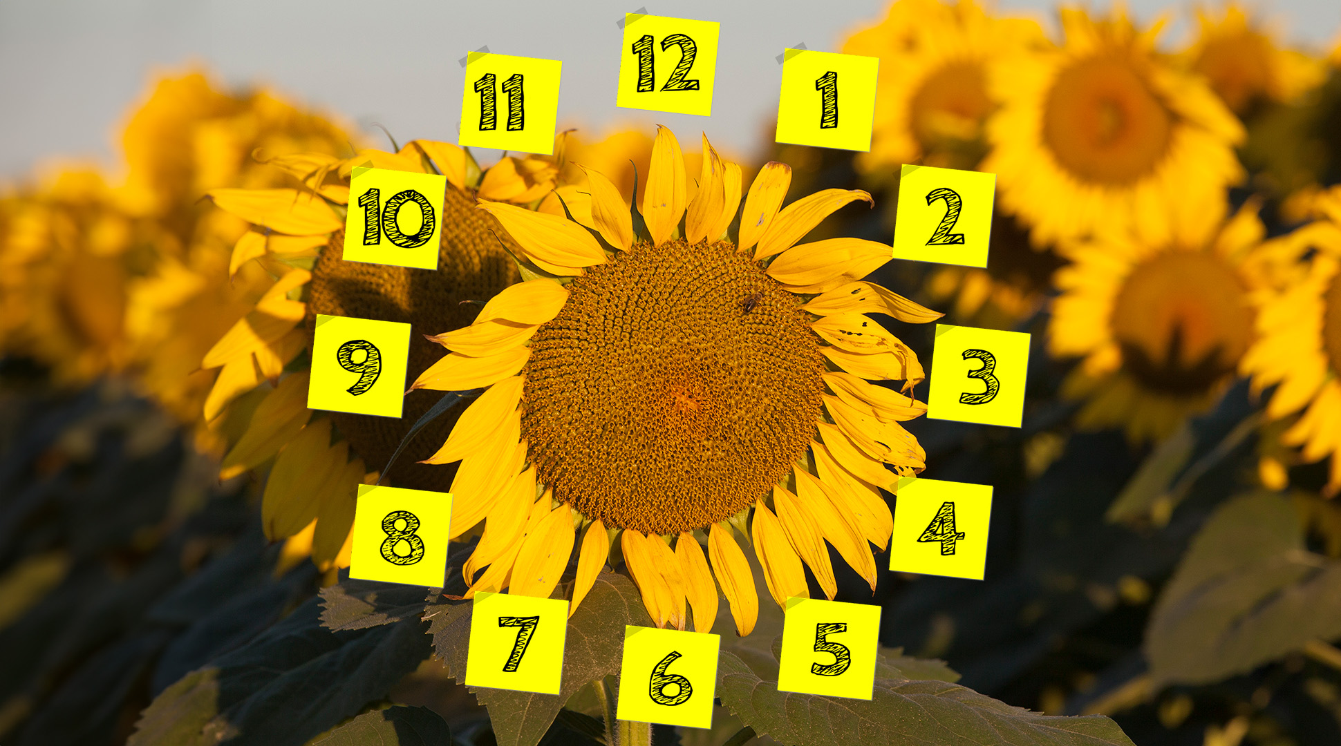 Summer clock