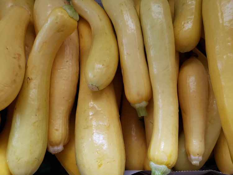 summer squash